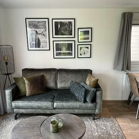 Comfort On A Recreational